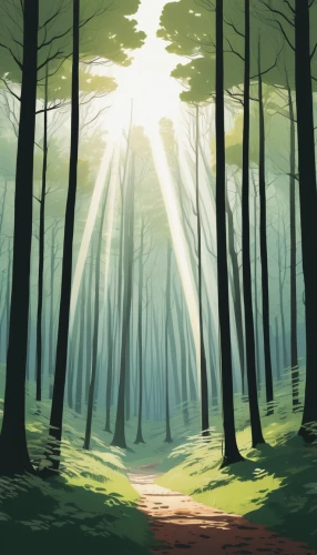 forest background,forest,forest path,forests,forest road,green forest,the forest,the forests,forest landscape,coniferous forest,holy forest,forest of dreams,forest walk,spruce forest,pine forest,fir forest,old-growth forest,background vector,cartoon forest,forest glade,Illustration,Vector,Vector 10