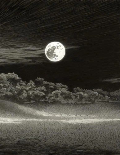 lunar landscape,moonscape,moon surface,dune sea,matruschka,lunar surface,moonlit night,photomontage,dark beach,dune landscape,stieglitz,moon valley,phase of the moon,virtual landscape,sea night,moonlit,admer dune,black landscape,venus surface,charcoal drawing,Art sketch,Art sketch,Retro