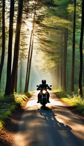 motorcycle tours,motorcycle tour,motorcycling,motorcyclist,motorcycles,open road,ride out,motorcycle accessories,motorcycle racing,motorcycle,motor-bike,biker,black motorcycle,the road,harley-davidson,family motorcycle,motorcycle racer,long road,motorbike,harley davidson,Photography,General,Realistic