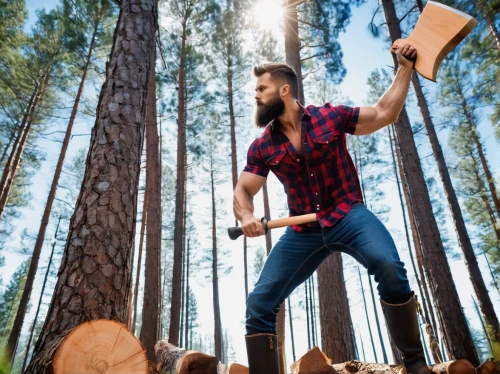 lumberjack,lumberjack pattern,woodsman,arborist,wood chopping,logging,woodworker,forest workplace,forestry,nature and man,farmer in the woods,wood background,lumber,wood shaper,chop wood,a carpenter,of wood,log truck,buffalo plaid trees,forest workers,Conceptual Art,Sci-Fi,Sci-Fi 10