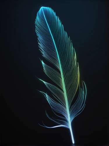 feather,peacock feather,bird feather,hawk feather,feather bristle grass,parrot feathers,black feather,bird of paradise,feather pen,palm leaf,chicken feather,color feathers,white feather,feathers,pigeon feather,swan feather,feather jewelry,leaf background,feathers bird,peacock feathers,Conceptual Art,Fantasy,Fantasy 03