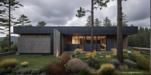 mid century house,timber house,house in the forest,3d rendering,inverted cottage,modern house,eco-construction,small cabin,wooden house,mid century modern,archidaily,folding roof,the cabin in the mountains,cubic house,modern architecture,dunes house,floorplan home,render,grass roof,wooden hut,Photography,General,Realistic