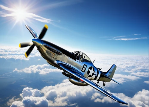 north american p-51 mustang,north american t-6 texan,vought f4u corsair,supermarine spitfire,focke-wulf fw 190,republic p-47 thunderbolt,douglas sbd dauntless,grumman f6f hellcat,grumman f8f bearcat,messerschmitt bf 108,messerschmitt bf 109,curtiss p-40 warhawk,corsair,beechcraft model 18,aerobatic,light aircraft,t28 trojan,north american t-28 trojan,aerobatics,model aircraft,Photography,Documentary Photography,Documentary Photography 30