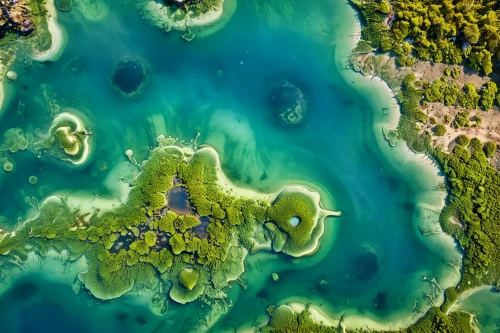 atoll from above,artificial islands,archipelago,floating islands,coral swirl,danube delta,aerial landscape,islet,the danube delta,uninhabited island,artificial island,krka national park,planet earth view,islands,acid lake,underwater landscape,over water bungalows,lake balaton,green algae,thimble islands,Photography,General,Realistic