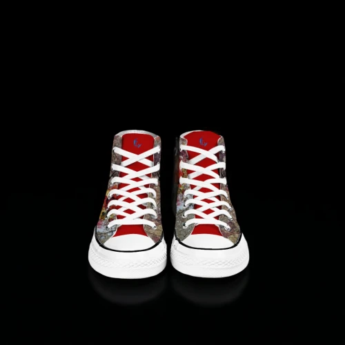 converse,chucks,red shoes,shoes icon,shoelaces,skate shoe,maple leaf red,sneakers,jordan shoes,wrestling shoe,mens shoes,skittles (sport),teenager shoes,tennis shoe,basketball shoe,basketball shoes,fire red,walking shoe,shoes,lebron james shoes
