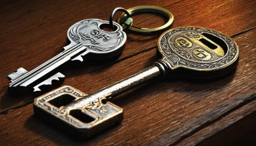 smart key,house keys,violin key,bicycle lock key,key mixed,skeleton key,house key,door key,ignition key,keys,key hole,key ring,key,car keys,the keys,car key,music keys,key-hole captain,keychain,keyring,Conceptual Art,Daily,Daily 14