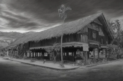 stilt house,traditional house,tavern,moorea,stilt houses,thatched roof,witch's house,straw hut,world digital painting,polynesian,ancient house,thatched cottage,traditional village,thatch roof,tahiti,creepy house,the haunted house,old home,escher village,thatching,Art sketch,Art sketch,Fine Decoration