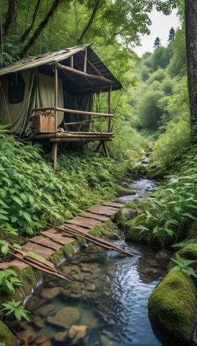 japan landscape,house in the forest,ryokan,tree house hotel,summer cottage,secluded,fishing tent,japan garden,japanese-style room,beautiful japan,floating huts,idyllic,japanese architecture,small cabin,water mill,south korea,green living,treehouse,the cabin in the mountains,tree house,Photography,General,Realistic