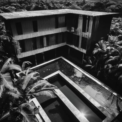 tropical house,dunes house,hotel nacional,ryokan,brutalist architecture,pan pacific hotel,mid century modern,mid century house,zen garden,model house,courtyard,japanese zen garden,archidaily,beach house,frame house,ruhl house,inside courtyard,cubic house,national cuban theatre,underground garage,Illustration,Black and White,Black and White 33