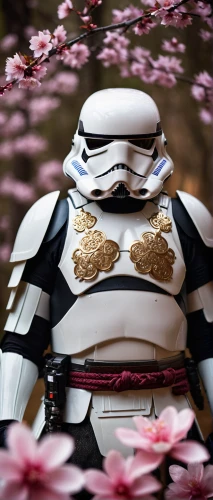 stormtrooper,japanese sakura background,boba,droids,imperial,sakura blossom,sakura blossoms,japanese floral background,bb8,bb8-droid,sakura background,star wars,starwars,floral japanese,vader,darth vader,imperial coat,bb-8,darth wader,cosplay image,Photography,General,Cinematic