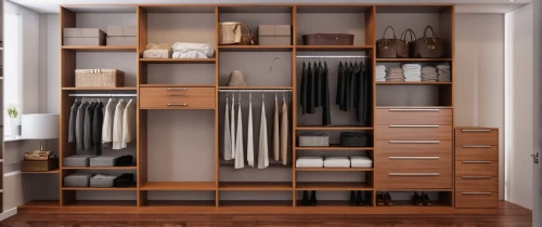 walk-in closet,storage cabinet,shelving,cabinetry,armoire,dresser,cupboard,wardrobe,organization,search interior solutions,room divider,metal cabinet,closet,shelves,chiffonier,bathroom cabinet,women's closet,drawers,shoe cabinet,cabinets,Photography,General,Realistic