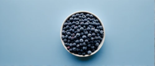 blue grapes,blueberries,black berries,grapes icon,grape seed extract,blue eggs,bilberry,blackcurrants,blueberry pie,black rice,colander,currant decorative,lotus seed pod,jamun,black currants,elderberries,isolated product image,echinops,blueberry stilton cheese,azuki bean,Photography,Documentary Photography,Documentary Photography 04