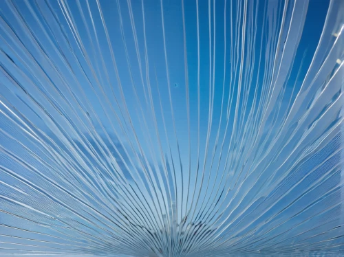 kinetic art,glass fiber,calatrava,pigeon feather,peacock feathers,abstract air backdrop,window screen,santiago calatrava,slat window,glass facade,structural glass,paraglider wing,klaus rinke's time field,steel sculpture,steelwool,peacock feather,windshield,bird protection net,corrugated sheet,magnetic field,Photography,Documentary Photography,Documentary Photography 33