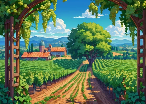 vineyards,vineyard,napa valley,napa,castle vineyard,sonoma,wine country,grape plantation,grapevines,viticulture,wine-growing area,wine region,winery,grape vines,wine growing,fruit fields,grape harvest,tuscan,wine harvest,vinpearl land,Conceptual Art,Daily,Daily 31