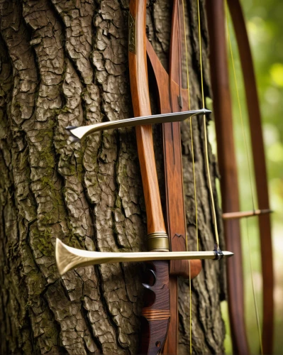 compound bow,longbow,bow and arrows,archery stand,bow arrow,bows and arrows,field archery,archery,cello bow,traditional bow,target archery,medieval crossbow,tower flintlock,heavy crossbow,tree pruning,hokka tree,bushcraft,crossbow,hand draw arrows,3d archery,Illustration,Vector,Vector 15