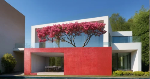 3d rendering,modern house,cubic house,red tree,render,modern architecture,dunes house,bougainvilleas,stucco wall,exterior decoration,residential house,contemporary,bougainvillea,cube house,landscape design sydney,model house,mid century house,stucco frame,landscape red,landscape designers sydney