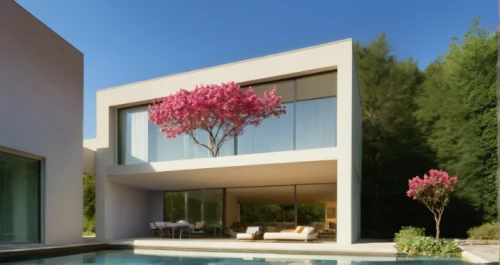 modern house,holiday villa,dunes house,modern architecture,landscape designers sydney,3d rendering,landscape design sydney,luxury property,stucco wall,contemporary,private house,bendemeer estates,exterior decoration,bougainvilleas,stucco frame,beautiful home,contemporary decor,interior modern design,mid century house,residential house