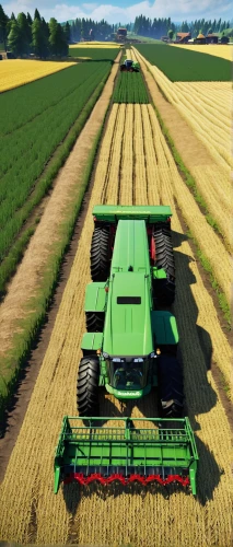 combine harvester,john deere,green wheat,green grain,agricultural machinery,wheat crops,farming,grain field panorama,cropland,harvester,grain harvest,winter wheat,farm tractor,agricultural machine,triticale,grain field,stubble field,durum wheat,combine,field cultivation,Conceptual Art,Graffiti Art,Graffiti Art 03