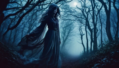 sleepwalker,the night of kupala,blue enchantress,gothic woman,the enchantress,sorceress,haunted forest,fantasy picture,the witch,dark art,queen of the night,halloween poster,gothic dress,lady of the night,faerie,rusalka,light of night,hollow way,the mystical path,blue moon,Illustration,Japanese style,Japanese Style 12