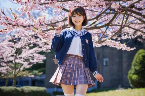 school skirt,sakura,school uniform,anime japanese clothing,japanese sakura background,sakura background,takato cherry blossoms,schoolgirl,chidori is the cherry blossoms,sakura flower,school clothes,azusa nakano k-on,sakura flowers,sakura blossom,sports uniform,sakura tree,sakura blossoms,cherry blossom,the cherry blossoms,japanese idol,Illustration,Paper based,Paper Based 22