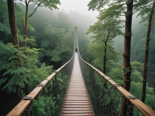 hanging bridge,canopy walkway,suspension bridge,wooden bridge,scenic bridge,rope bridge,tree top path,footbridge,extradosed bridge,humpback bridge,bridge,stairway to heaven,walkway,hangman's bridge,passerelle,heavenly ladder,beam bridge,jacob's ladder,bailey bridge,cantilever bridge,Photography,Fashion Photography,Fashion Photography 19