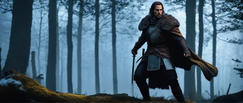 the wanderer,swath,witcher,hooded man,elven,lone warrior,assassin,king arthur,highlander,robin hood,huntress,woodsman,game illustration,elven forest,thorin,concept art,male elf,jrr tolkien,swordsman,fantasy picture,Photography,Documentary Photography,Documentary Photography 27