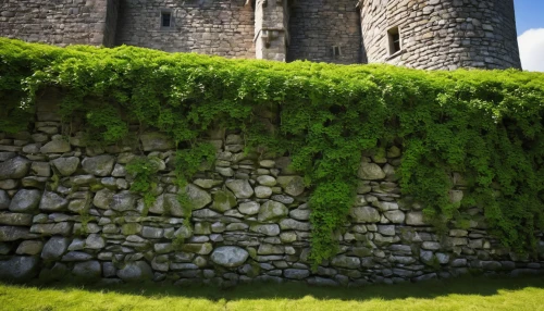 wall,stone wall,clipped hedge,trerice in cornwall,castleguard,galician castle,city wall,background ivy,castle ruins,house wall,seamless texture,medieval castle,stone fence,stonework,citadelle,castle de sao jorge,cry stone walls,medieval architecture,hedge,portcullis,Photography,Fashion Photography,Fashion Photography 18