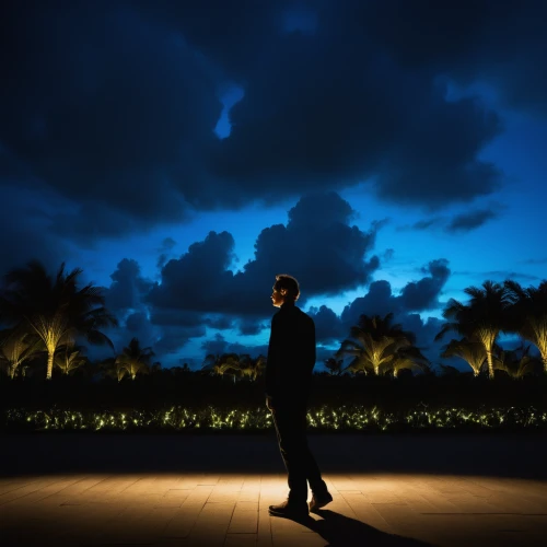 man silhouette,silhouette of man,photo session at night,night photography,silhouette against the sky,ballroom dance silhouette,art silhouette,dusk background,landscape lighting,palm tree silhouette,lightpainting,dark blue sky,light of night,golf backlight,silhouette,dance silhouette,house silhouette,nightscape,visual effect lighting,graduate silhouettes,Photography,Artistic Photography,Artistic Photography 10