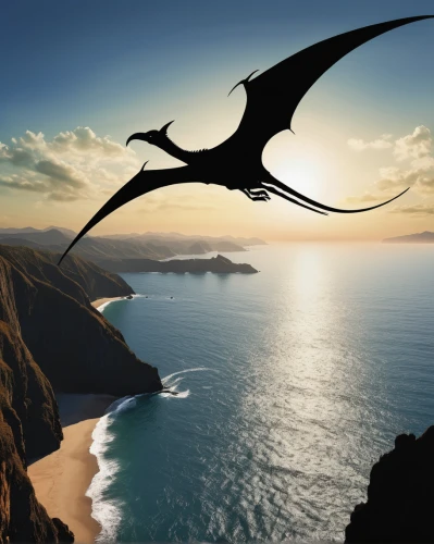 pterosaur,pterodactyls,pterodactyl,powered hang glider,hang gliding or wing deltaest,dragon of earth,marine reptile,hang glider,a flying dolphin in air,hang-glider,ascension island,sea swallow,jurassic coast,draconic,air new zealand,wing paragliding,black dragon,paraglider takes to the skies,paraglider wing,paraglider sunset,Illustration,Black and White,Black and White 31