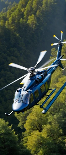 rotorcraft,bell 412,bell 212,bell 214,bell 206,eurocopter,eurocopter ec175,hiller oh-23 raven,sikorsky s-64 skycrane,hal dhruv,ambulancehelikopter,harbin z-9,bell uh-1 iroquois,sikorsky s-61r,sikorsky hh-52 seaguard,sikorsky s-76,sikorsky s-92,sikorsky s-70,pilatus pc 21,ah-1 cobra,Photography,Fashion Photography,Fashion Photography 06