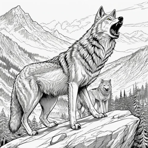 two wolves,wolf couple,canis lupus,wolves,canis lupus tundrarum,dog illustration,canidae,wolf hunting,wolfdog,howling wolf,gray wolf,tamaskan dog,wolf,werewolves,northern inuit dog,howl,saarloos wolfdog,coloring page,ancient dog breeds,european wolf,Illustration,American Style,American Style 13