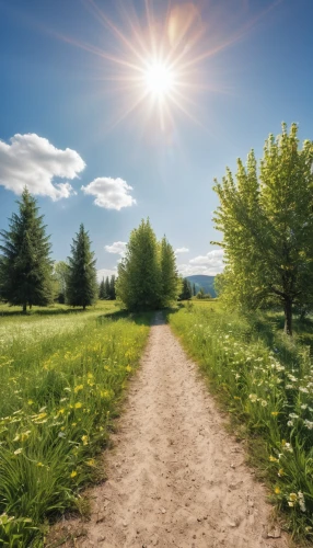 aaa,pathway,tree lined path,the way of nature,the path,the mystical path,online path travel,background view nature,hiking path,landscape background,aa,meadow rues,environmental sin,spring equinox,path,footpath,nature landscape,meadow landscape,sunburst background,ecological sustainable development,Photography,General,Realistic