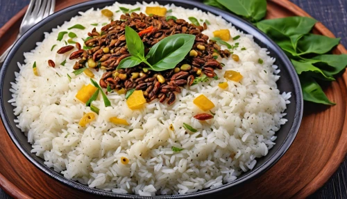 basmati rice,saffron rice,spiced rice,arborio rice,curd rice,basmati,lemon rice,jasmine rice,rice dish,mixed rice,brown rice,white rice,indonesian rice,bowl of rice,braised pork rice,steamed rice,iranian cuisine,hayashi rice,feijoada,flattened rice,Photography,General,Realistic