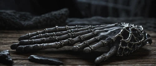 skeleton hand,black crab,raven sculpture,ringed-worm,formal gloves,charcoal nest,pine cone,pinecone,human hand,evening glove,frayed,glove,cinema 4d,crown render,claws,3d render,witch's hat,old hands,black dragon,grave jewelry,Photography,General,Natural