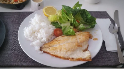 chicken breast fillet,tilapia,barramundi,salmon fillet,fish meal,hayashi rice,pescado frito,red seabream,today's lunch,hüftfilet,omurice,tuna steak,stir fried fish with sweet chili,hainanese chicken rice,lutefisk,yellowtail amberjack,red snapper,menchi-katsu,meal,indonesian dish
