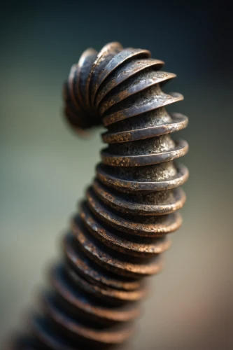 helical,spiral bevel gears,spiral background,macro extension tubes,inductor,helix,spiral,coils,coil spring,pine cone,spirals,coil,ringed-worm,spiral pattern,bevel gear,slinky,depth of field,fasteners,millipedes,fir cone,Illustration,Paper based,Paper Based 17