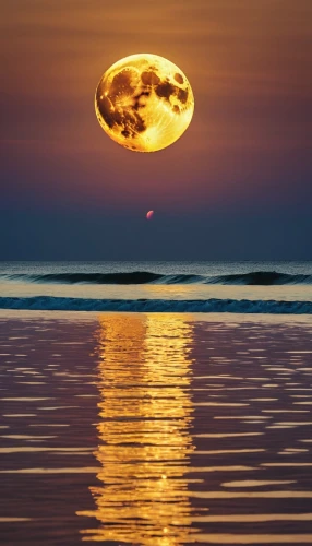 moonrise,hanging moon,full moon,super moon,moon photography,sun moon,big moon,moonlit night,purple moon,moon at night,moon in the clouds,moonlit,moonscape,the moon,jupiter moon,moon and star background,beach moonflower,lunar eclipse,moon,blood moon eclipse,Photography,General,Realistic