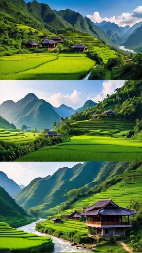 rice fields,rice paddies,guizhou,ha giang,ricefield,rice terraces,yunnan,green landscape,yamada's rice fields,landscape background,philippines scenery,rice field,shaanxi province,the rice field,rice terrace,rice cultivation,vietnam,mountainous landscape,green fields,beautiful landscape,Photography,General,Natural