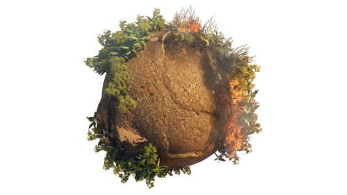 trees with stitching,tree slice,tree face,png transparent,burning tree trunk,deforested,render,stump,tree's nest,bolete,druid stone,chestnut bolete,polypore,tree stump,log,tree trunk,diorama,forest mushroom,yule log,chaga mushroom