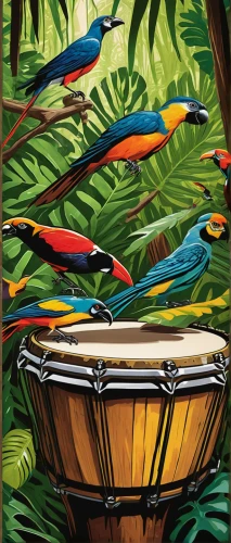 tropical birds,maracatu,bird of paradise,bird-of-paradise,toucans,marimba,samba band,colorful birds,bongos,songbirds,tropical bird,bird painting,bongo drum,key birds,percussion,tropical bird climber,hand drums,costa rica,tropical animals,macaws of south america,Illustration,Vector,Vector 14