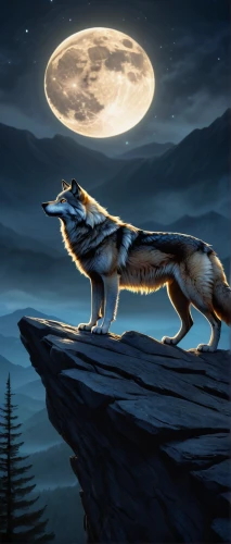 howling wolf,constellation wolf,werewolves,full moon,two wolves,wolves,full moon day,wolf couple,moonlit night,canis lupus,fantasy picture,moon and star background,night watch,wolf,wolfdog,european wolf,werewolf,moonlit,blue moon,howl,Illustration,Realistic Fantasy,Realistic Fantasy 15