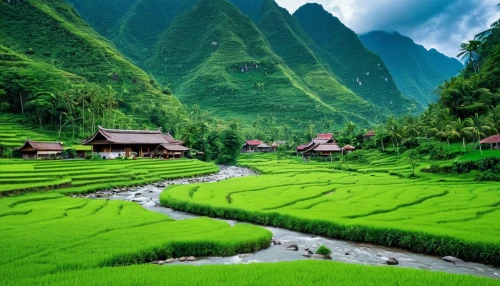 rice fields,green landscape,rice paddies,rice field,ricefield,the rice field,rice terrace,ha giang,rice terraces,paddy field,vietnam,guizhou,guilin,viet nam,mountainous landscape,green valley,vietnam's,green fields,southeast asia,beautiful landscape,Photography,General,Realistic