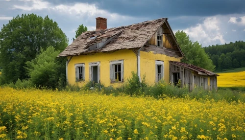 country cottage,home landscape,lonely house,danish house,yellow grass,farm house,small house,country house,little house,old house,yellow mustard,abandoned house,house insurance,yellow wallpaper,yellow garden,meadow landscape,ancient house,traditional house,yellow wall,farmhouse,Photography,General,Realistic