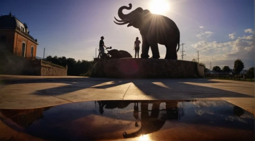 elephants and mammoths,elephantine,lion fountain,elephant,iasi,indian elephant,marine corps memorial,blue elephant,mandala elephant,marrakech,chiang rai,pachyderm,ankara,elephants,soumaya museum,rabat,elephant's child,hermannsdenkmal,capitoline wolf,university of wisconsin,Photography,General,Natural