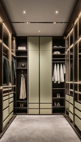 walk-in closet,closet,wardrobe,women's closet,cabinetry,armoire,cupboard,china cabinet,storage cabinet,under-cabinet lighting,cabinets,pantry,shelving,dark cabinetry,modern style,hallway space,bathroom cabinet,recessed,dressing room,shoe cabinet