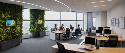 forest workplace,intensely green hornbeam wallpaper,modern office,creative office,blur office background,conference room,working space,ecological sustainable development,office automation,meeting room,offices,green plants,daylighting,tropical and subtropical coniferous forests,search interior solutions,eco-construction,ficus,trading floor,company headquarters,ecoregion,Illustration,Black and White,Black and White 22