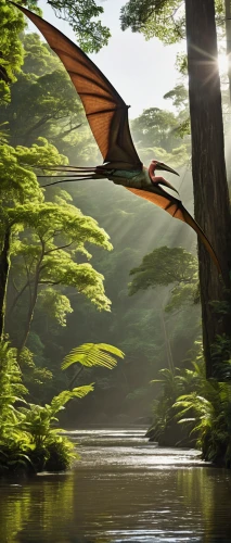 pterosaur,pterodactyls,forest dragon,flying fox,dragon of earth,little red flying fox,pterodactyl,gonepteryx cleopatra,powered hang glider,gonepteryx rhamni,green dragon,greater crimson glider,fantasy picture,hang glider,quetzal,dragon,tropical bat,hang-glider,dragon-fly,draconic,Photography,Documentary Photography,Documentary Photography 31