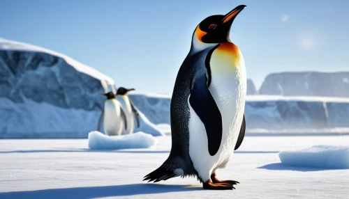 emperor penguin,emperor penguins,king penguin,gentoo,king penguins,gentoo penguin,penguin couple,big penguin,chinstrap penguin,penguin,antarctic bird,arctic penguin,penguins,penguin parade,penguin enemy,rock penguin,snares penguin,antarctic,rockhopper penguin,linux,Illustration,Retro,Retro 25