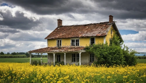 country cottage,abandoned house,house insurance,lonely house,country house,home landscape,old house,farm house,old home,little house,ancient house,danish house,farmhouse,homestead,small house,summer cottage,farmstead,witch house,black mustard,yellow mustard,Photography,General,Realistic