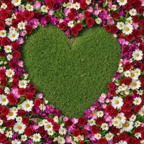 floral heart,flowers png,two-tone heart flower,floral digital background,heart shrub,flower wall en,flower background,floral background,flower carpet,heart background,dianthus,flower blanket,daisy heart,colorful heart,heart clipart,flower arrangement lying,valentine flower,blanket of flowers,flowerbed,chrysanthemum background,Photography,General,Realistic